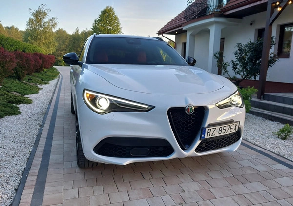 Alfa Romeo Stelvio cena 189000 przebieg: 11000, rok produkcji 2023 z Rzeszów małe 667